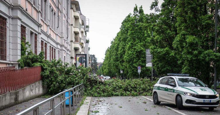 Meteo – Temporali e forti raffiche di vento sferzano la Lombardia, alberi caduti a Milano: 500 interventi dei Vigili del Fuoco Meteo – Temporali e forti raffiche di vento sferzano la Lombardia, alberi caduti a Milano: 500 interventi dei Vigili del Fuoco