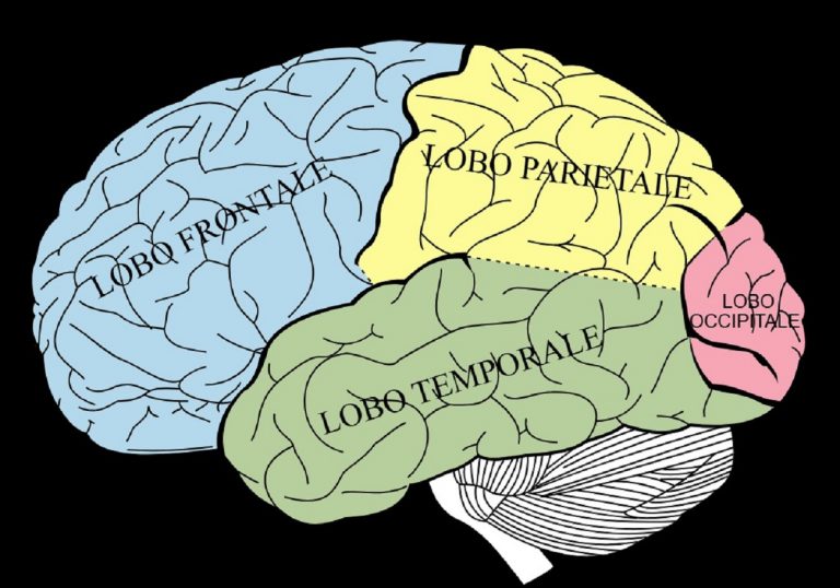 A 57 anni gli viene diagnosticato un tumore al cervello: aveva questo strano sintomo all’incirca una volta al mese