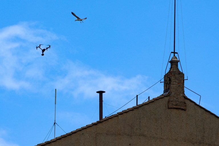 Conclave, cosa succede prima e dopo la fumata bianca: dalla “stanza delle lacrime” all’Habemus Papam Conclave, cosa succede prima e dopo la fumata bianca: dalla “stanza delle lacrime” all’Habemus Papam