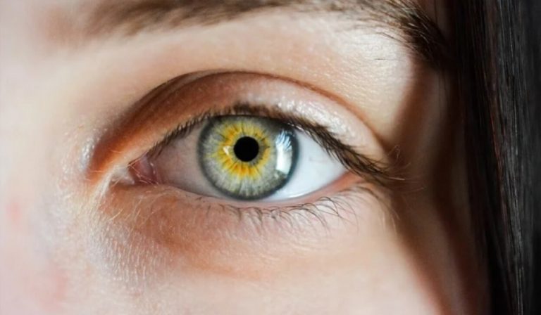 Maculopatia, i fattori di rischio e i sintomi cui prestare attenzione Maculopatia, i fattori di rischio e i sintomi cui prestare attenzione
