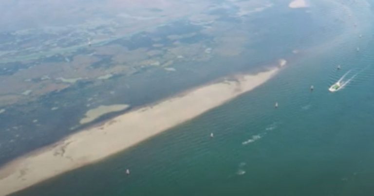 Mar Adriatico si colora di verde: ecco perché e cosa sta succedendo