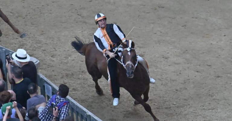 Palio di Siena 2025, quali sono le contrade e i fantini partecipanti: ecco quanto guadagna chi vince Palio di Siena 2025, quali sono le contrade e i fantini partecipanti: ecco quanto guadagna chi vince
