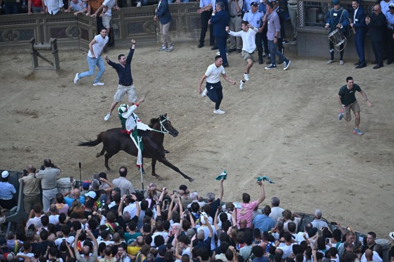 Palio di Siena 2025, ecco la contrada che ha vinto la corsa del 3 luglio Palio di Siena 2025, ecco la contrada che ha vinto la corsa del 3 luglio