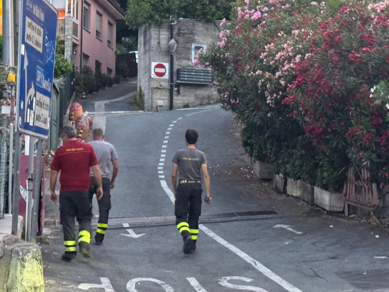 Bimbo di 5 anni scomparso a Ventimiglia: “A rendere più difficili le ricerche è il fatto che…” Bimbo di 5 anni scomparso a Ventimiglia: “A rendere più difficili le ricerche è il fatto che…”