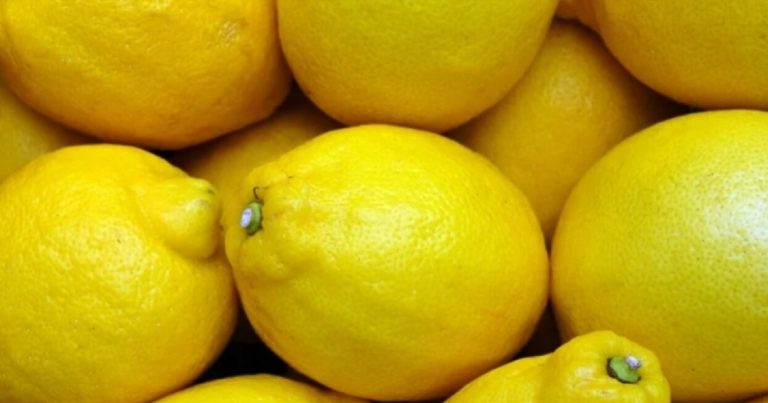 Come conservare i limoni e mantenerli freschi più a lungo: ecco i metodi che in pochi conoscono