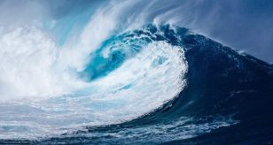 tsunami kamchatka russia