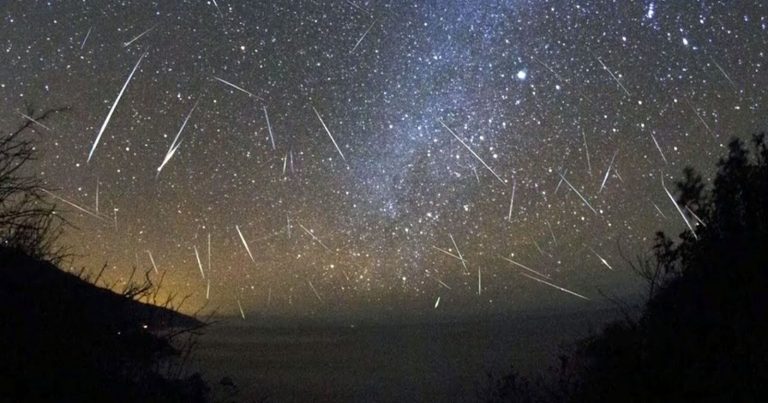 Stelle cadenti, quali sono i giorni migliori per vederle e quando ci sarà il picco