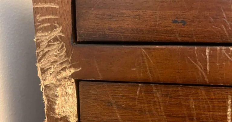 Il rimedio casalingo per eliminare ammaccature e graffi dai mobili di legno