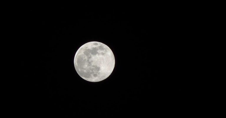 Stasera brillerà nel cielo la Luna Piena dello Storione, ecco a che ora vederla a Milano, Roma e Palermo Stasera brillerà nel cielo la Luna Piena dello Storione, ecco a che ora vederla a Milano, Roma e Palermo