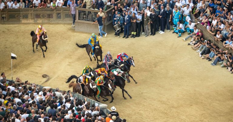 Palio di Siena 2025, ecco la contrada che ha vinto la corsa del 16 agosto