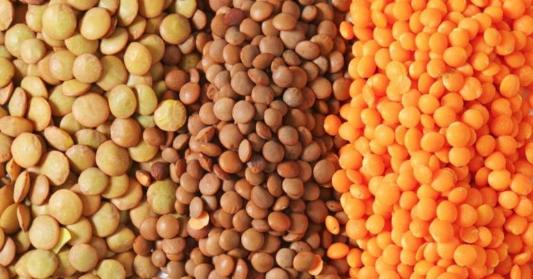 Gli errori più frequenti che non vanno commessi quando si cucinano le lenticchie