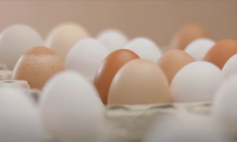 Come cucinare le uova correttamente per non disperdere le proprietà nutrizionali