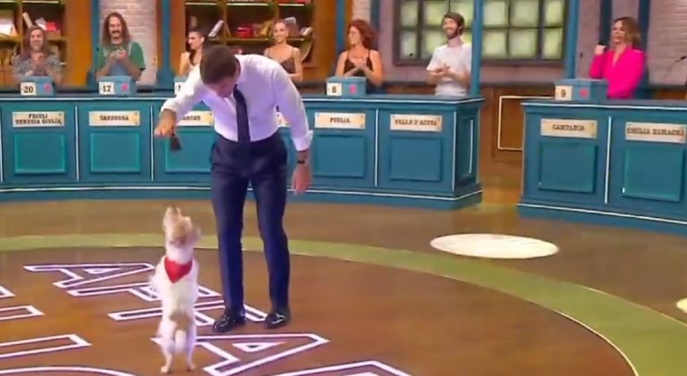 Affari Tuoi, la storia di Gennarino: il vero nome, dove lo avevamo già visto in tv e il rapporto con De Martino