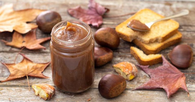 Marmellata di castagne: ecco la ricetta per preparare una deliziosa alternativa alle caldarroste