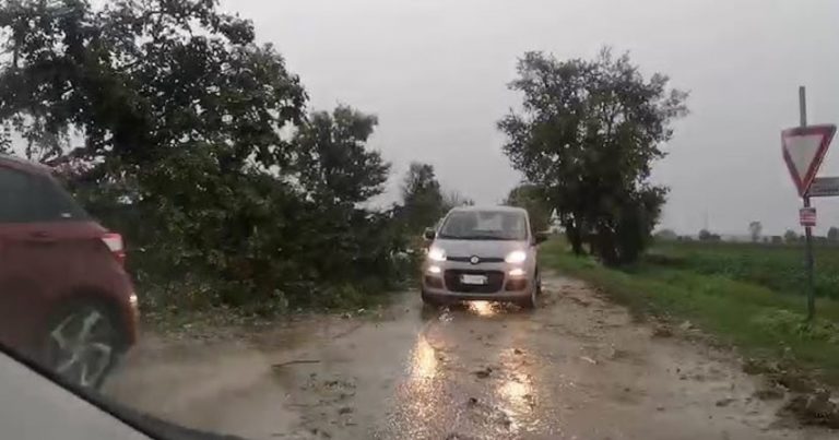Scuole chiuse per allerta meteo e maltempo domani, venerdì 31 ottobre 2025: l’elenco dei comuni interessati Scuole chiuse per allerta meteo e maltempo domani, venerdì 31 ottobre 2025: l’elenco dei comuni interessati