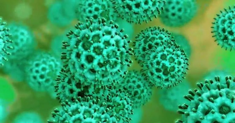 Come distinguere il tipo di influenza: ecco i segnali che ci aiutano a capire se si tratta di infezione virale o batterica