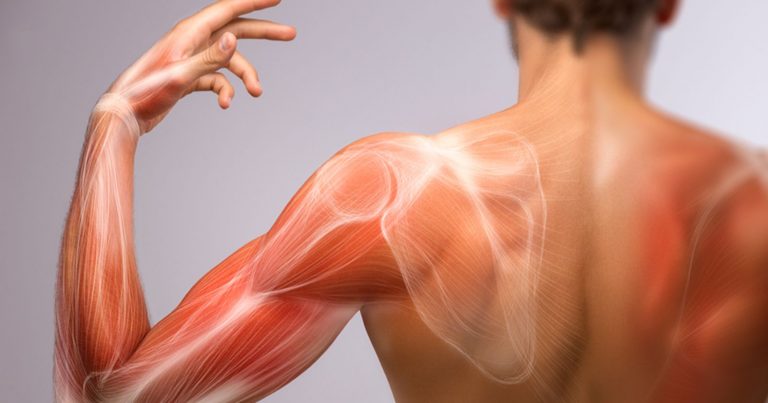Lussazione della spalla, quali sono i sintomi e come trattarla