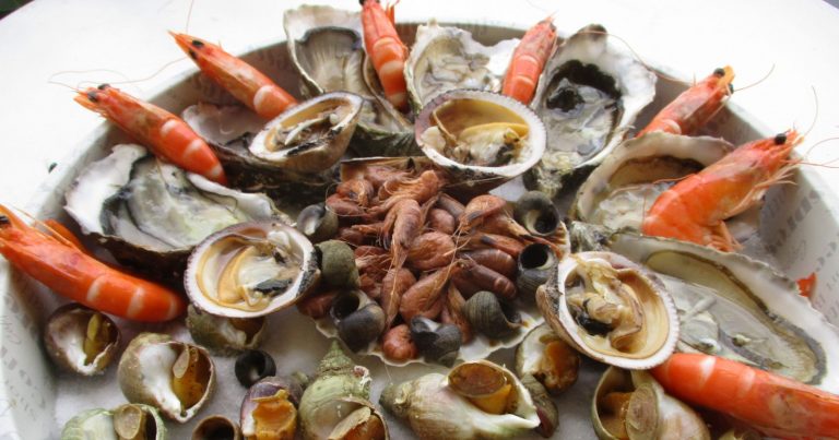 Epatite A, ordinanza del sindaco a Napoli: vietato il consumo di frutti di mare crudi nei ristoranti