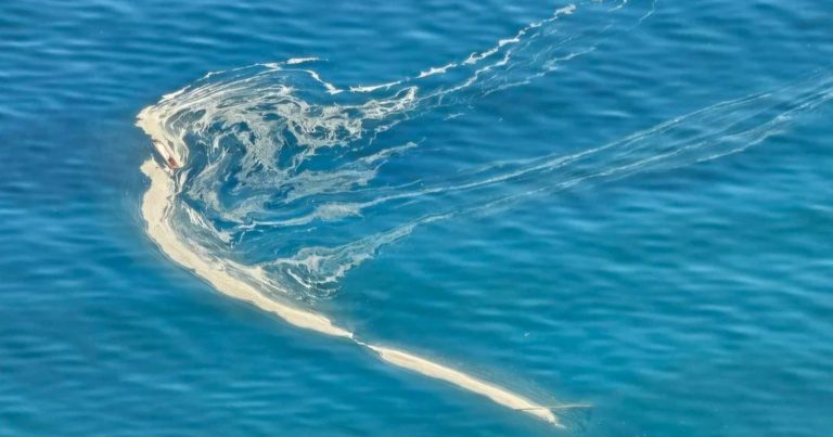 Il mare si tinge di giallo in Italia, ma non è inquinamento: ecco dove e qual è la spiegazione