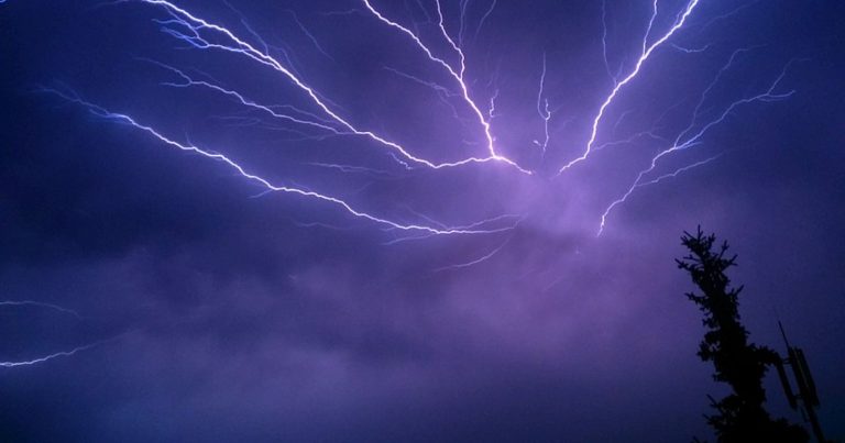 Strani bagliori blu emessi dagli alberi durante i temporali: ecco di cosa si tratta
