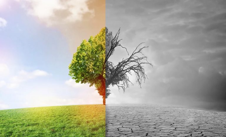 Gli scienziati hanno calcolato quando moriranno le ultime piante sulla Terra