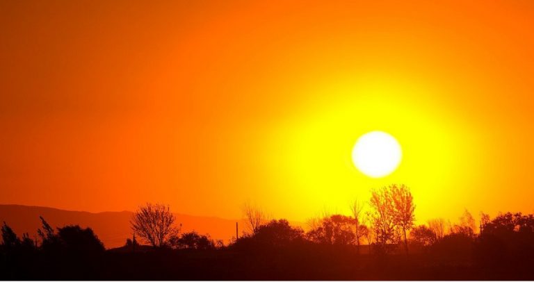Malattie infettive in aumento con il caldo: ecco quali sono e come proteggersi