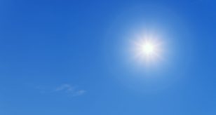 sole