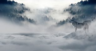 Meteo - Prima parte di Novembre simil-invernale sull'Italia con temperature spesso inferiori alla media: la tendenza