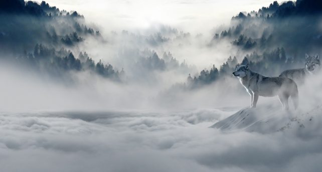 Meteo - Prima parte di Novembre simil-invernale sull'Italia con temperature spesso inferiori alla media: la tendenza