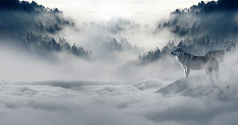 Meteo – Prima parte di Novembre simil-invernale sull’Italia con temperature spesso inferiori alla media: la tendenza