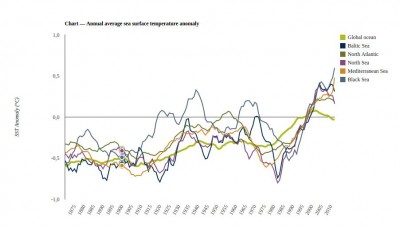 Negli ultimi anni i mari si stanno scaldando sempre piu